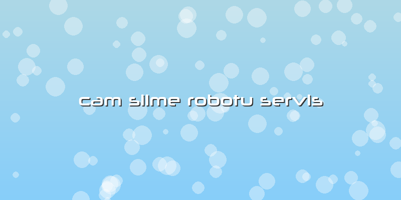 Cam Silme Robotu Servis