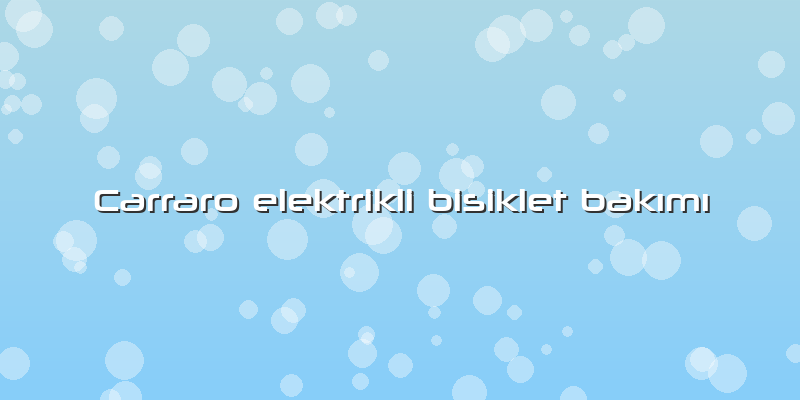 Carraro Elektrikli Bisiklet Bakımı