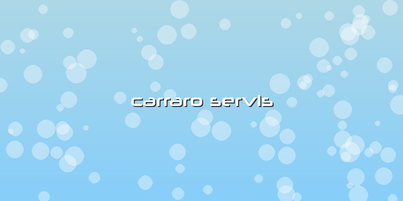 Carraro Servis