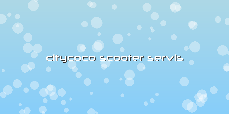 Citycoco Scooter Servis