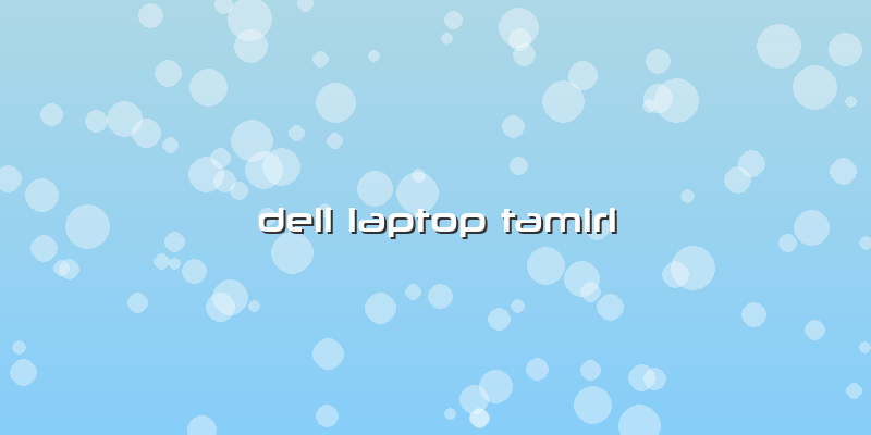 Dell Laptop Tamiri