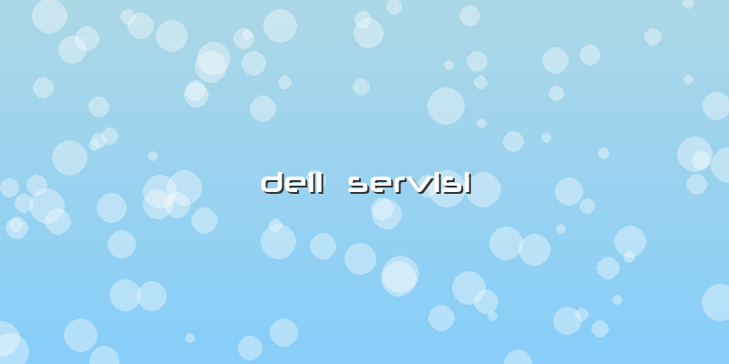 Dell  Servisi