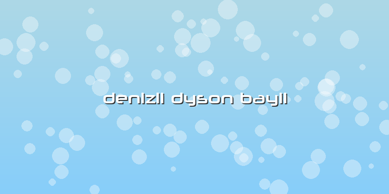 Denizli Dyson Bayii