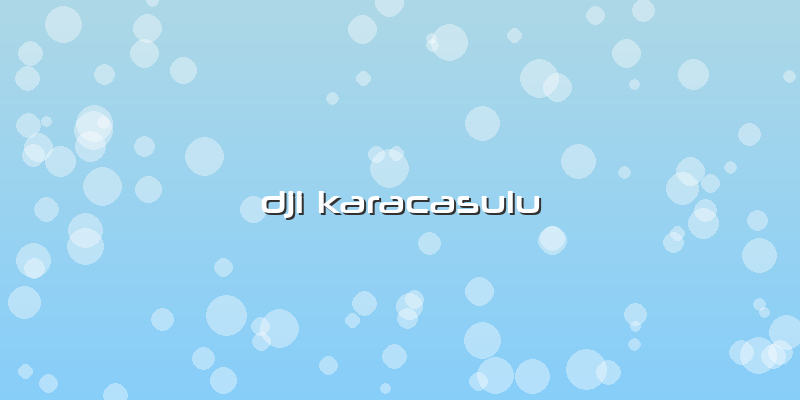 Dji Karacasulu