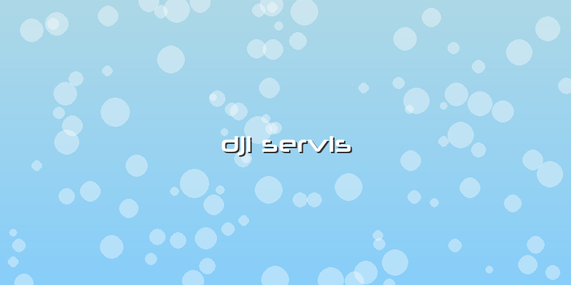 Dji Servis