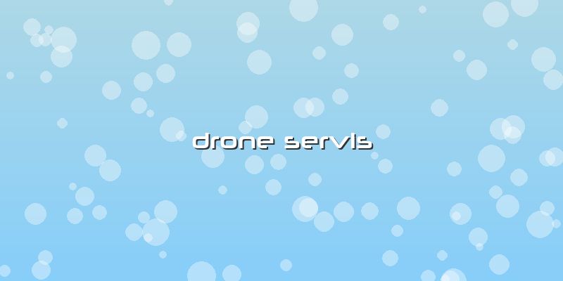 Drone Servis