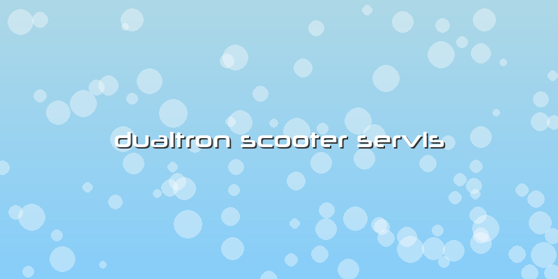 Dualtron Scooter Servis