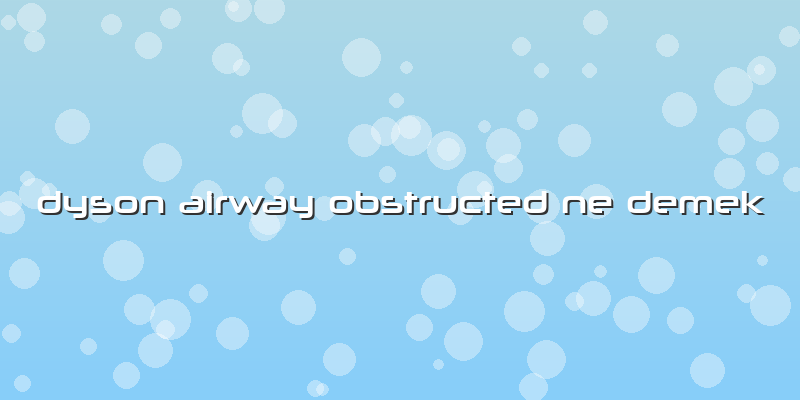 Dyson Airway Obstructed Ne Demek