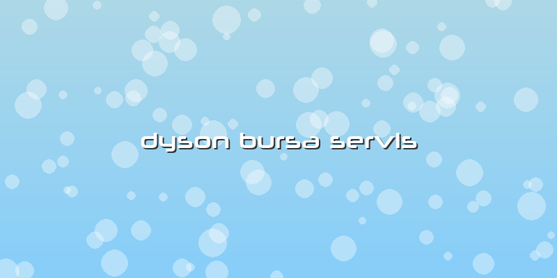 Dyson Bursa Servis