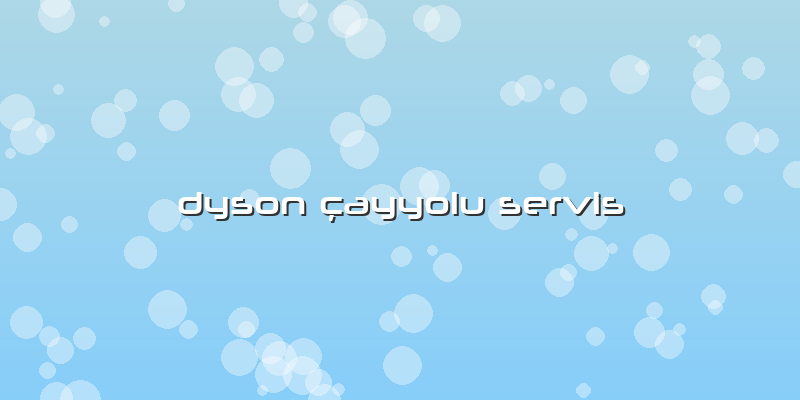 Dyson çayyolu Servis
