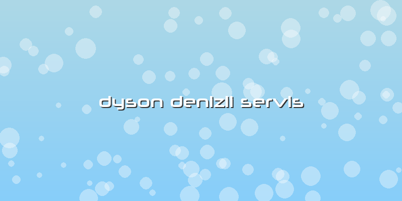 Dyson DEnizli SErvis