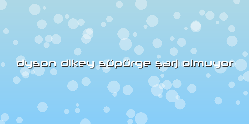 Dyson Dikey Süpürge şarj Olmuyor