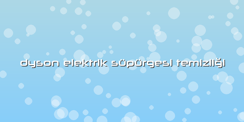 Dyson Elektrik Süpürgesi Temizliği