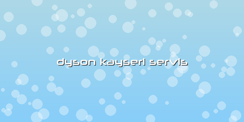 Dyson Kayseri Servis