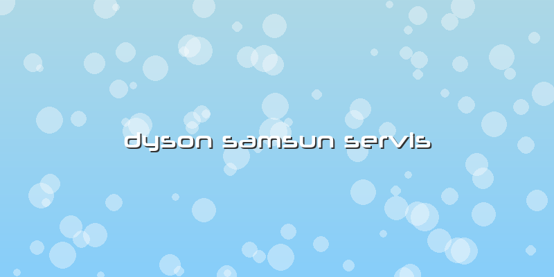 Dyson Samsun Servis