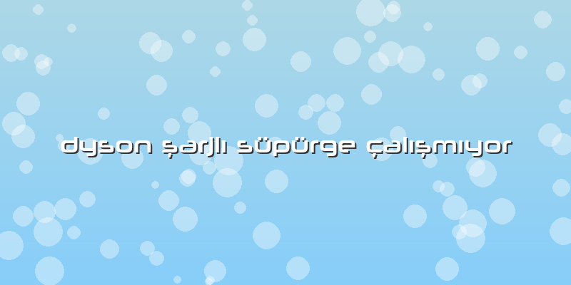 Dyson şarjlı Süpürge çalışmıyor