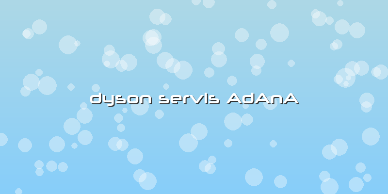 Dyson Servis AdAnA