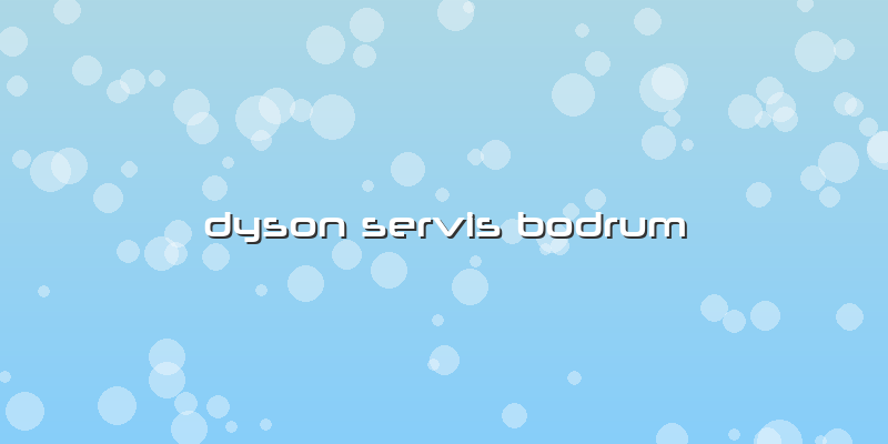 Dyson Servis Bodrum