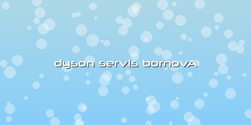 Dyson Servis Bornova