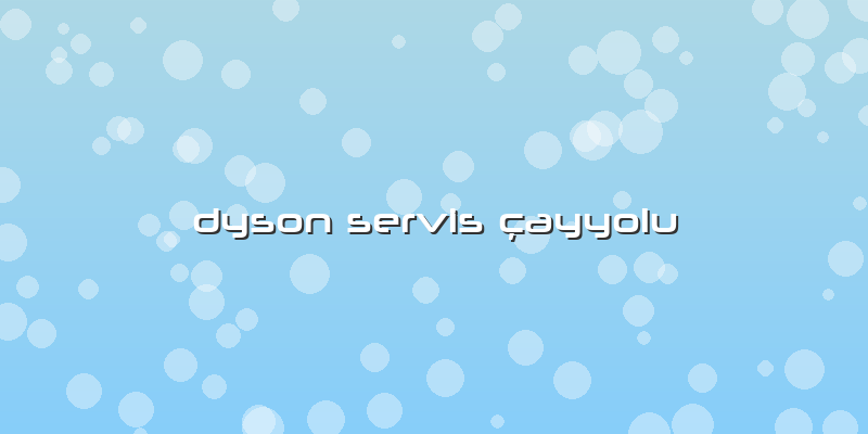 Dyson Servis çAyyolu
