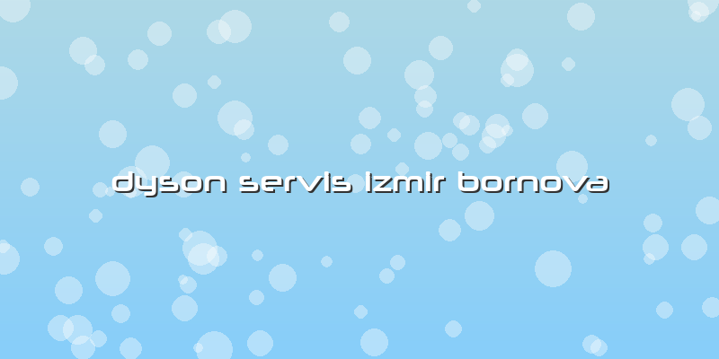Dyson Servis Izmir Bornova
