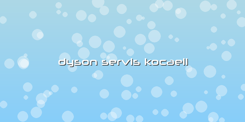 Dyson Servis Kocaeli
