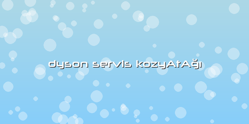 Dyson Servis KozyAtAğı
