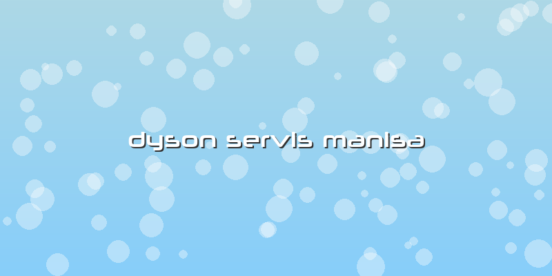 Dyson Servis Manisa