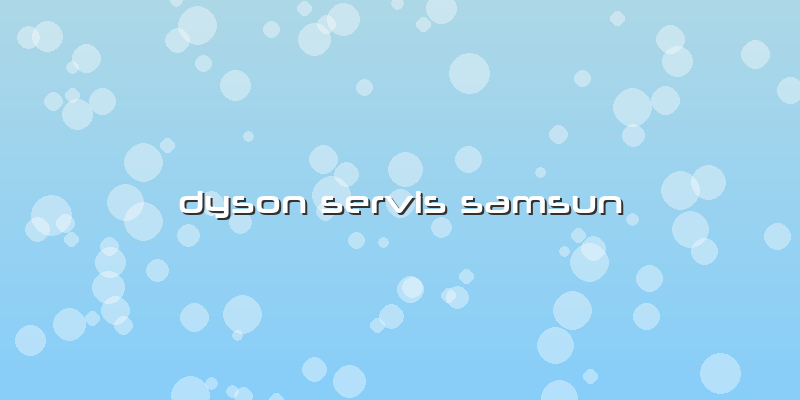 Dyson Servis Samsun