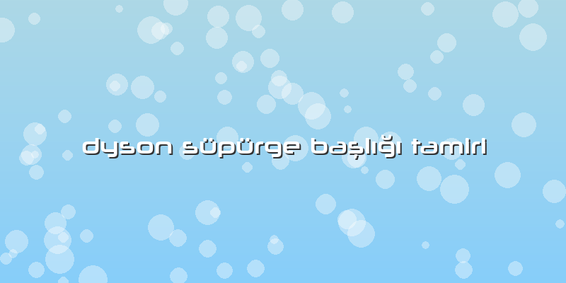 Dyson Süpürge Başlığı Tamiri