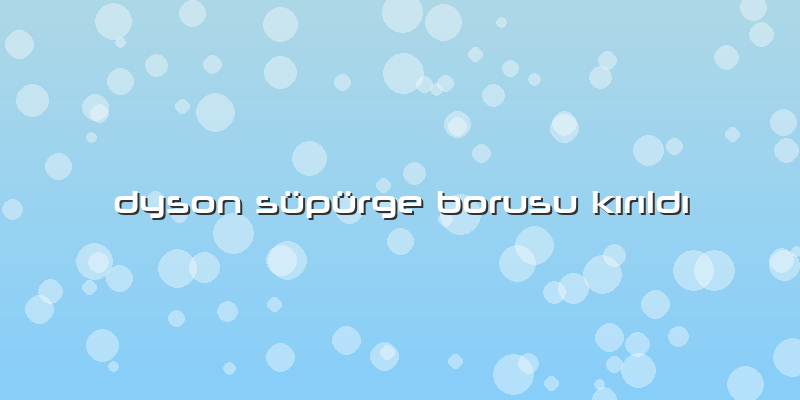 Dyson Süpürge Borusu Kırıldı