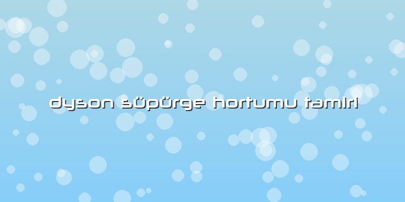 Dyson Süpürge Hortumu Tamiri