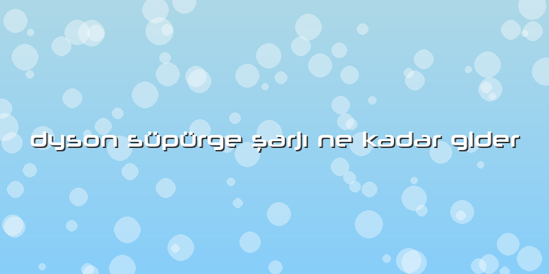 Dyson Süpürge şarjı Ne Kadar Gider