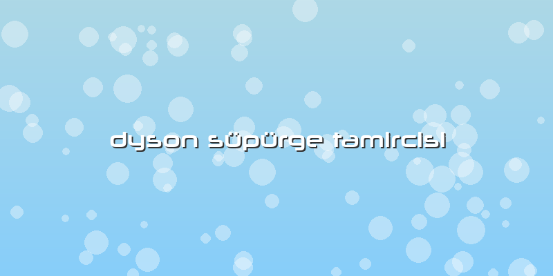 Dyson Süpürge Tamircisi
