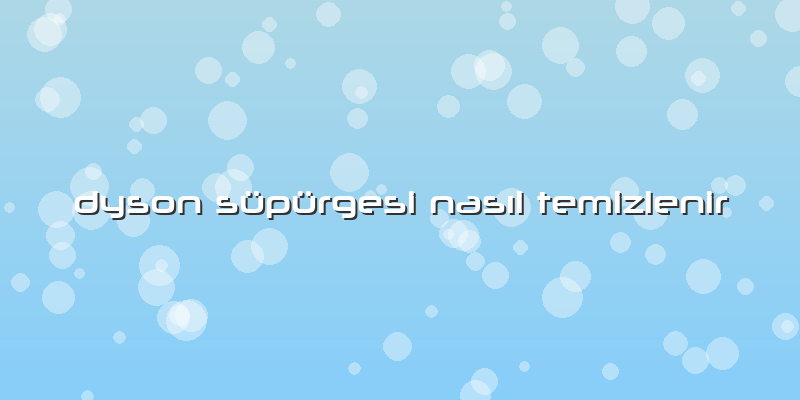 Dyson Süpürgesi Nasıl Temizlenir