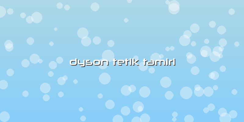 Dyson Tetik Tamiri