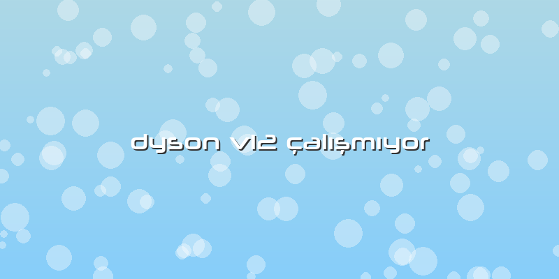 Dyson V12 çalışmıyor