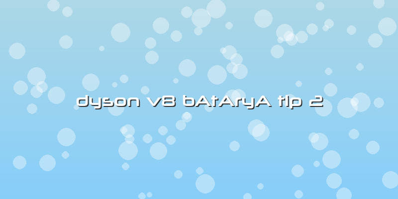 Dyson V8 BAtAryA Tip 2