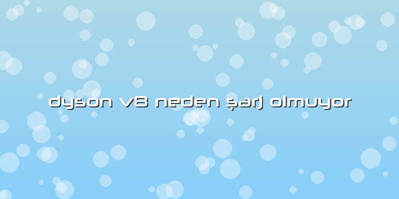 Dyson V8 Neden şarj Olmuyor
