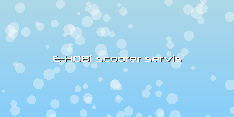 E-HOBi Scooter Servis