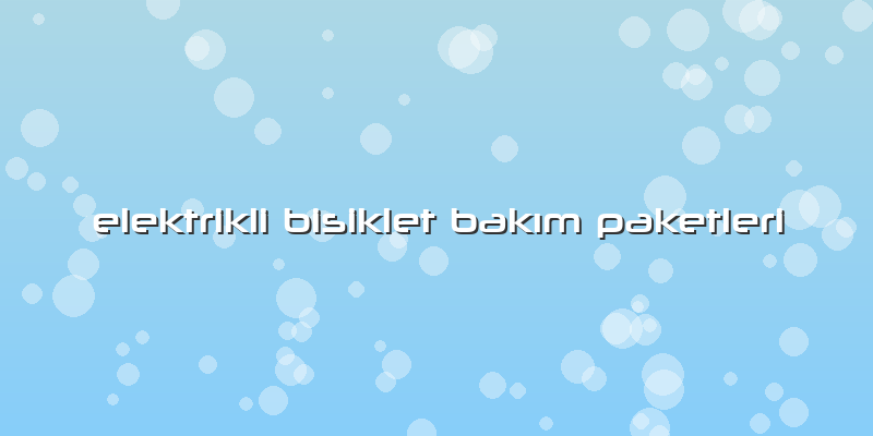 Elektrikli Bisiklet Bakım Paketleri