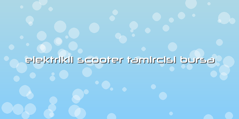 Elektrikli Scooter Tamircisi Bursa