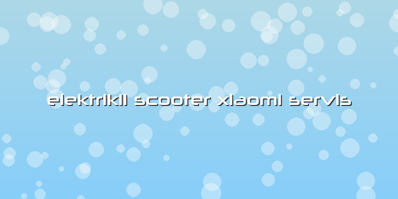 Elektrikli Scooter Xiaomi Servis