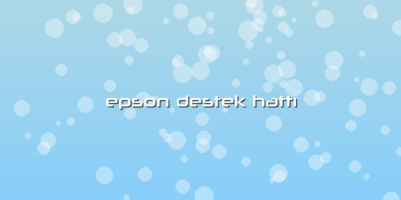 Epson Destek Hattı