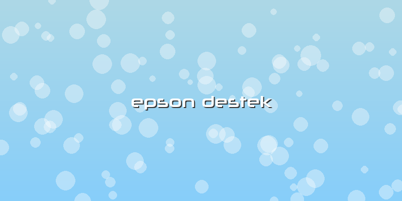 Epson Destek