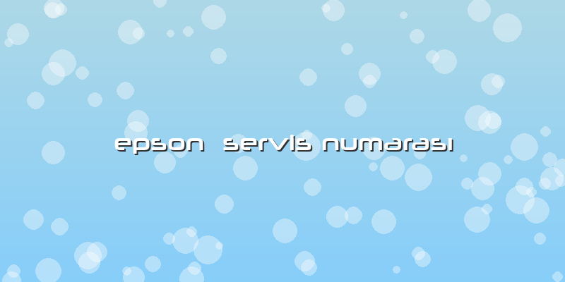 Epson  Servis Numarası