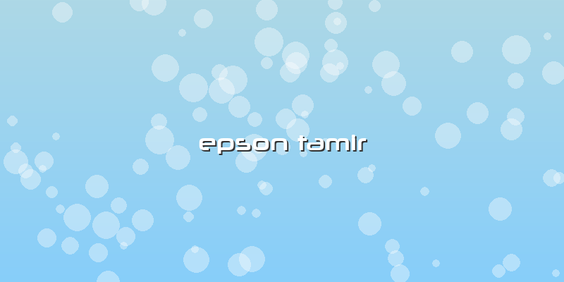 Epson Tamir