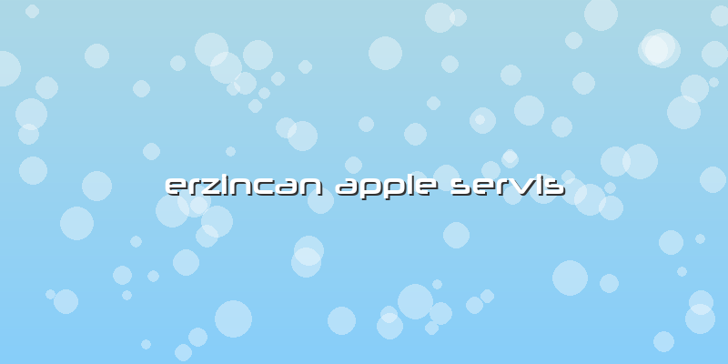 Erzincan Apple Servis