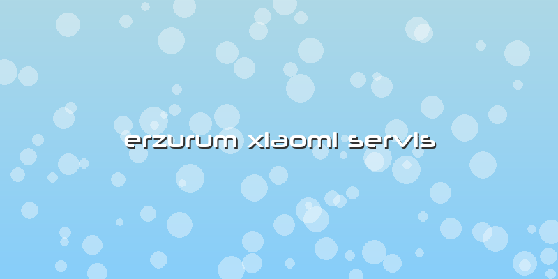 Erzurum Xiaomi Servis
