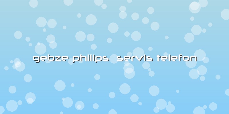 Gebze Philips  Servis Telefon
